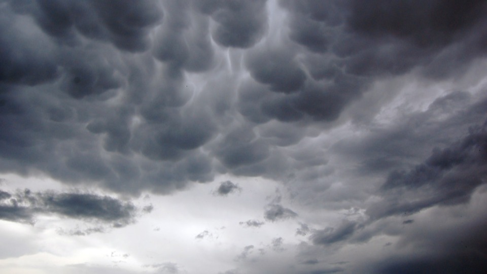 Notícia Relacionada