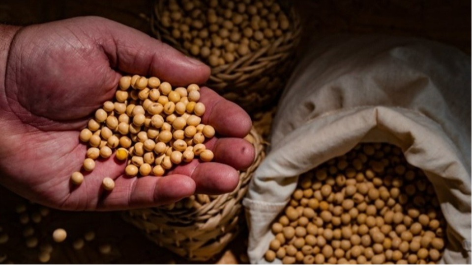 Imagem Últimas Notícias