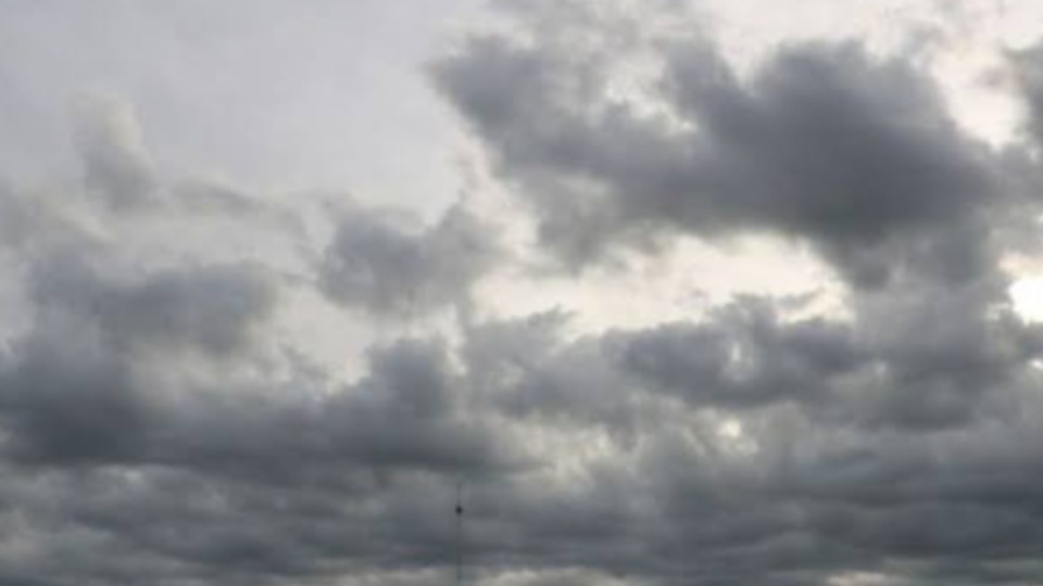 Notícia Relacionada