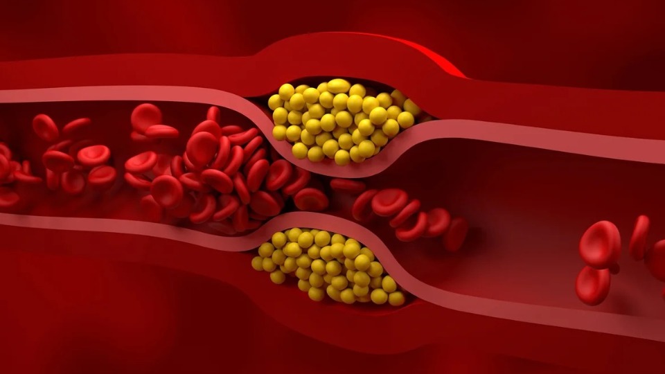 Imagem Últimas Notícias