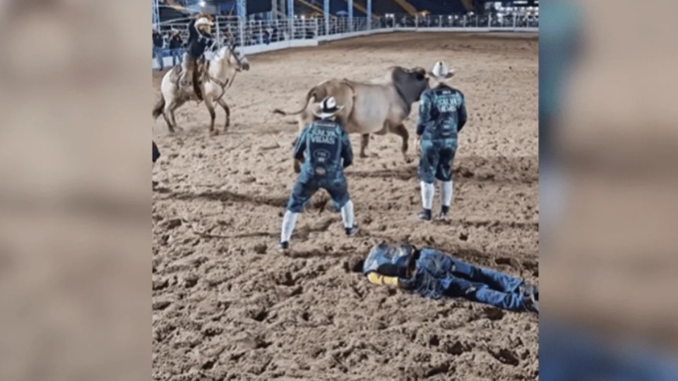 Imagem Últimas Notícias