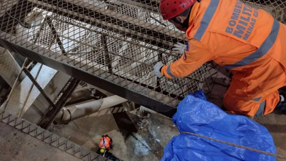 Imagem Últimas Notícias