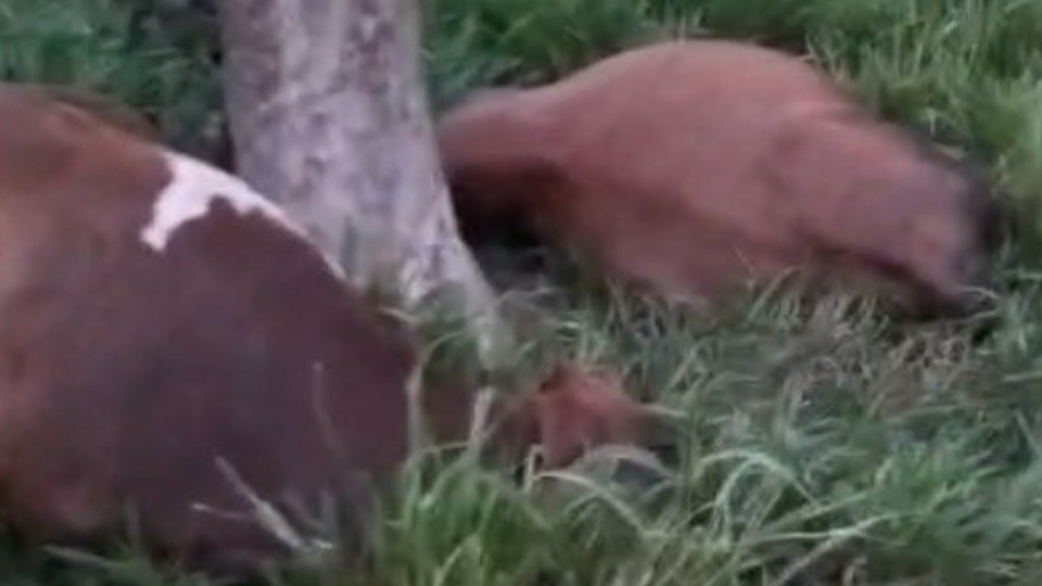 Imagem Últimas Notícias