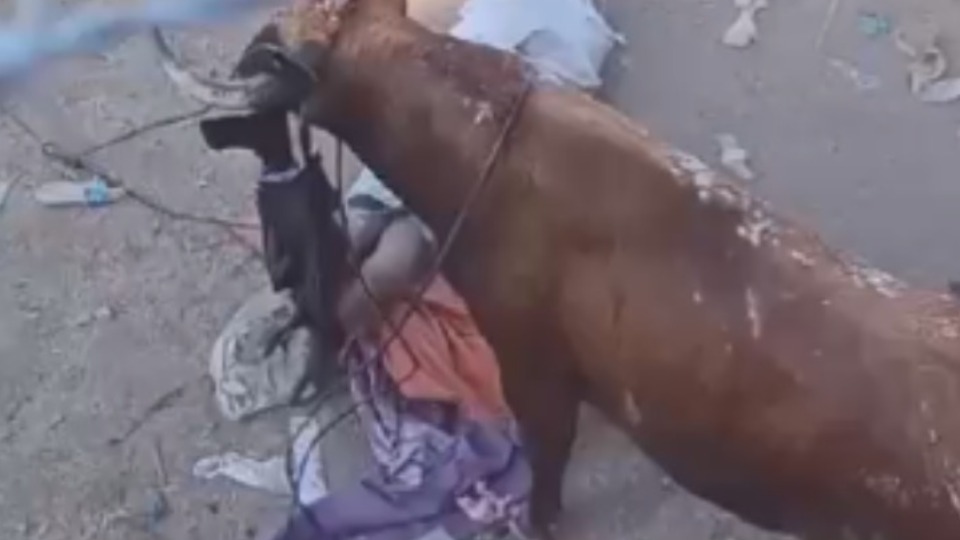 Imagem Últimas Notícias