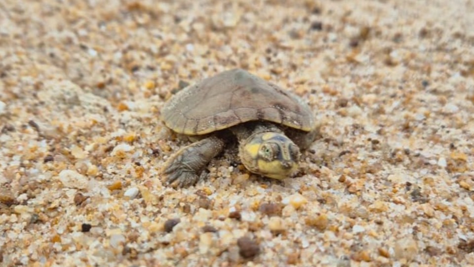 Imagem Últimas Notícias