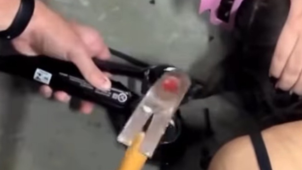 Imagem Últimas Notícias