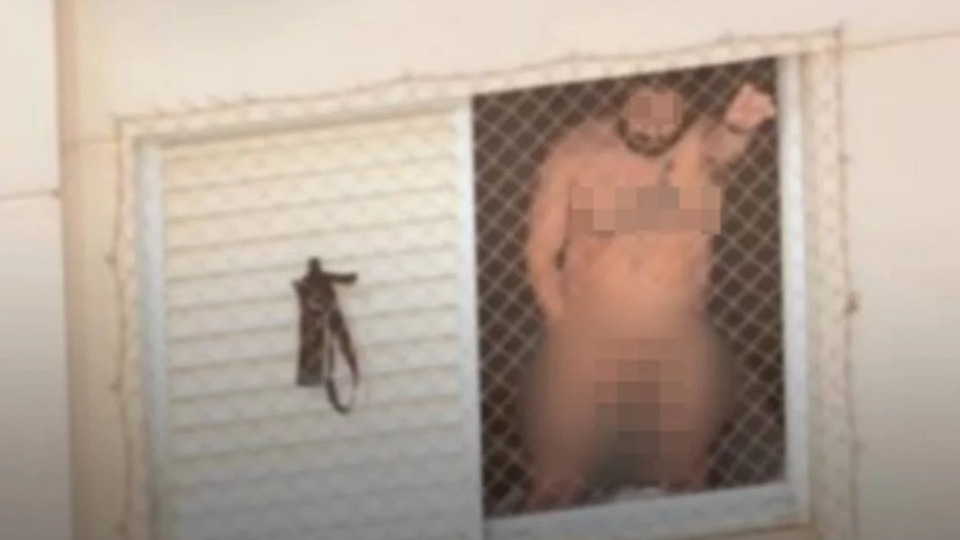 Notícia Relacionada