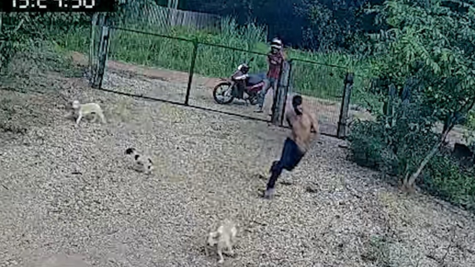 Imagem Últimas Notícias