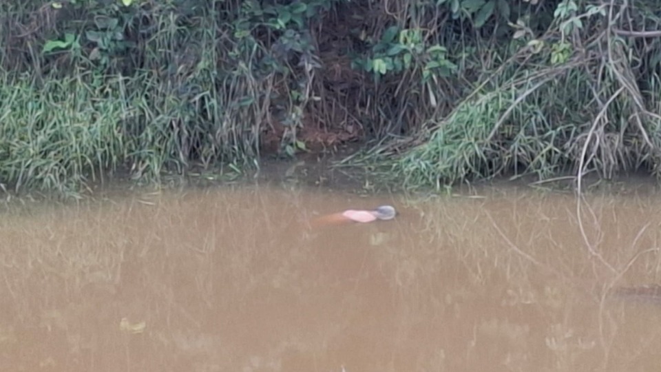 Imagem Últimas Notícias