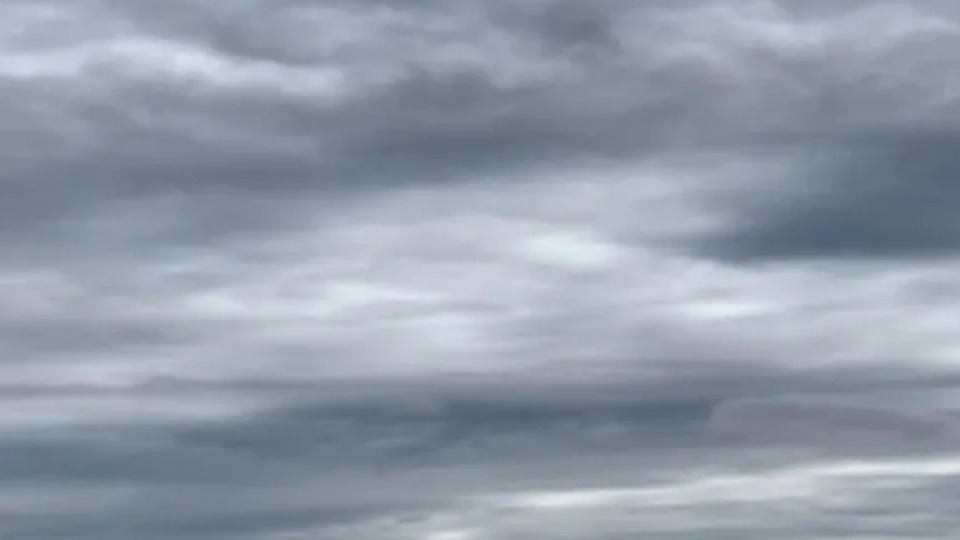 Notícia Relacionada