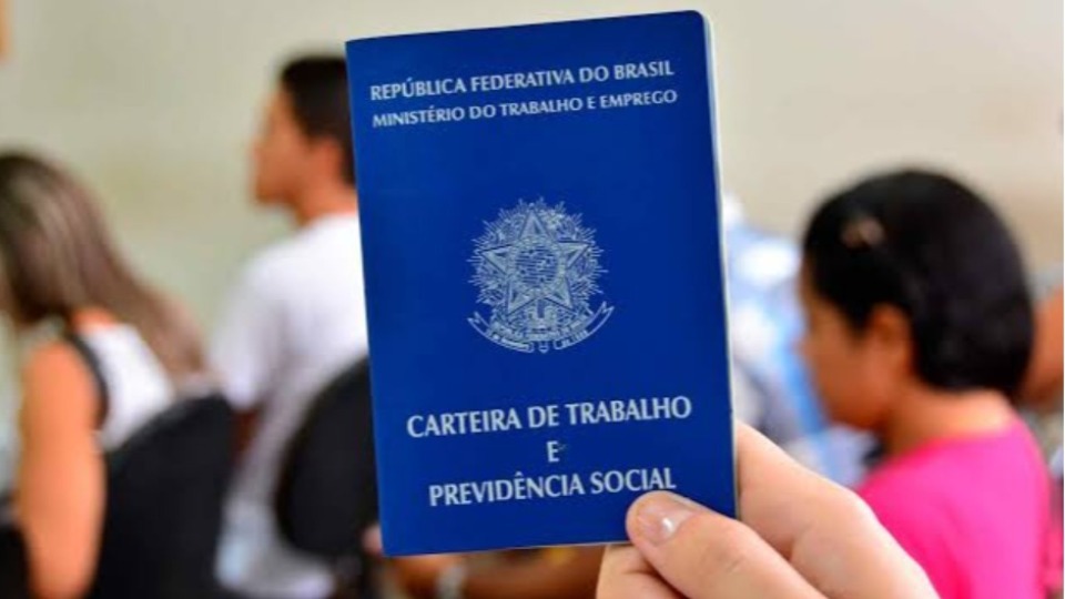 Notícia Relacionada