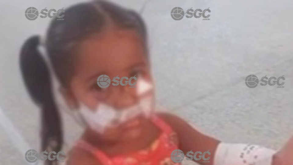 Notícia Relacionada