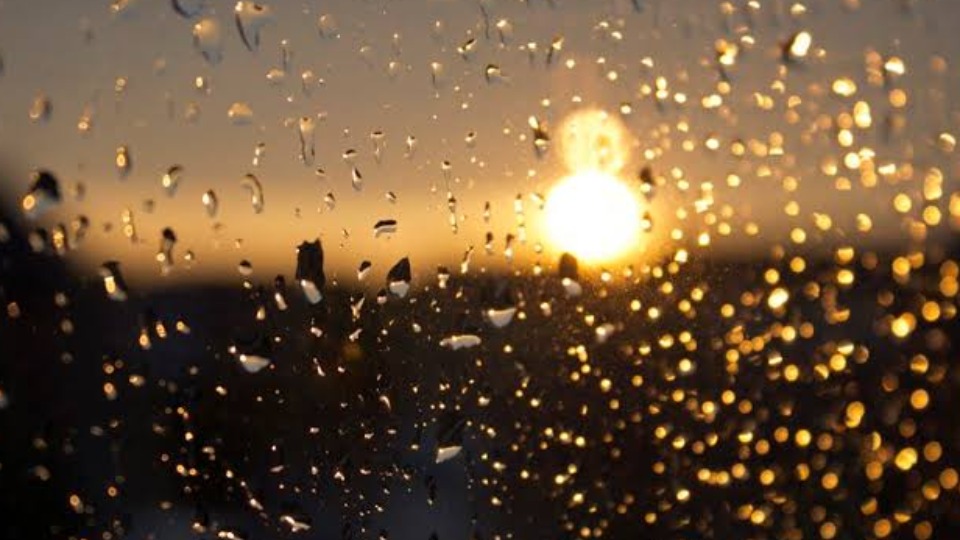 Notícia Relacionada