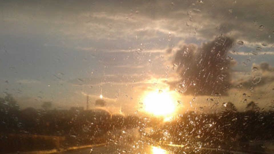 Notícia Relacionada