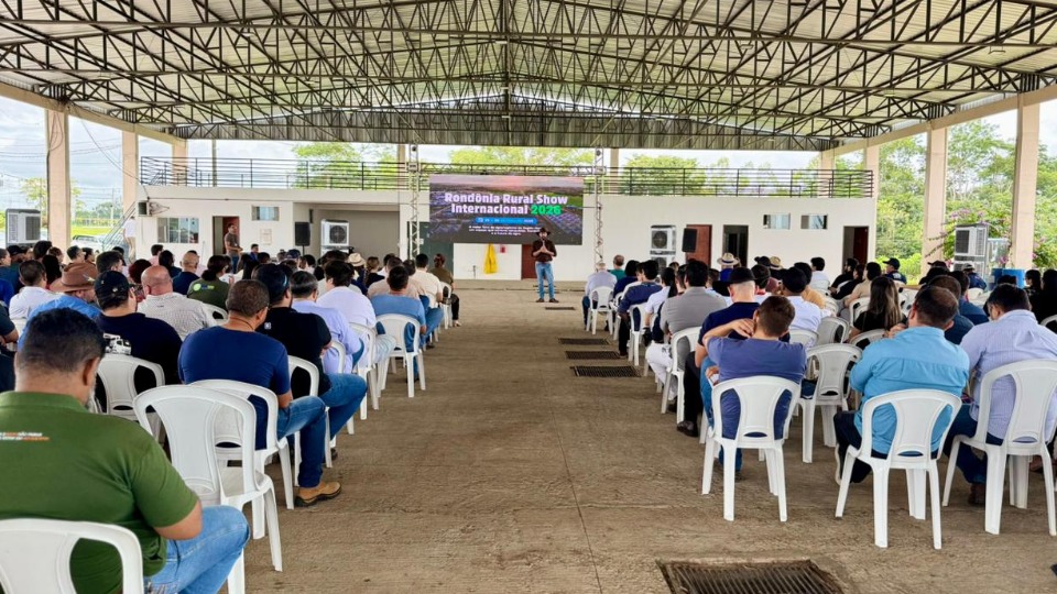 Notícia Relacionada