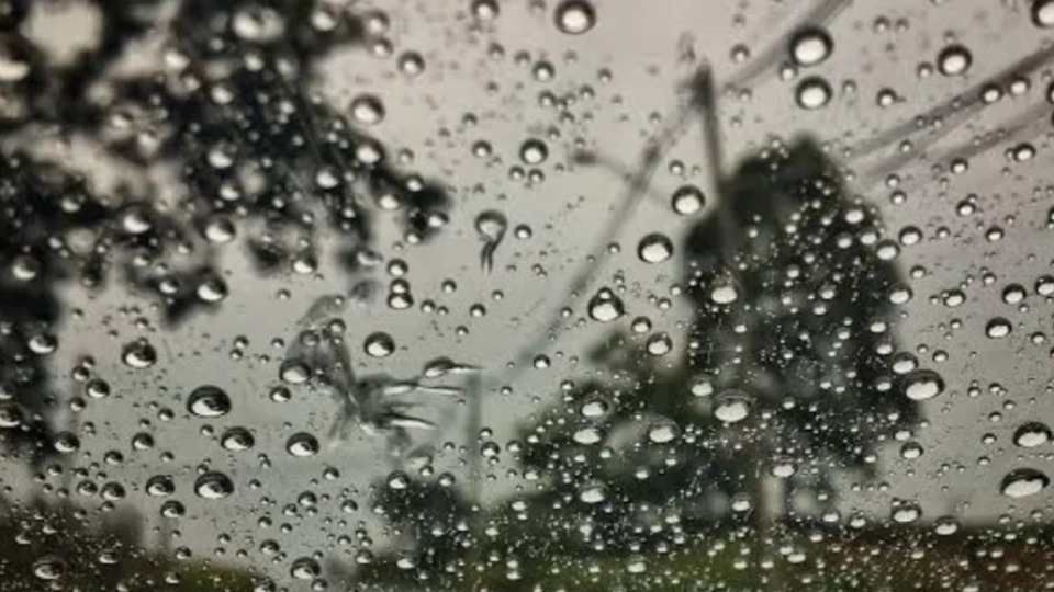 Notícia Relacionada