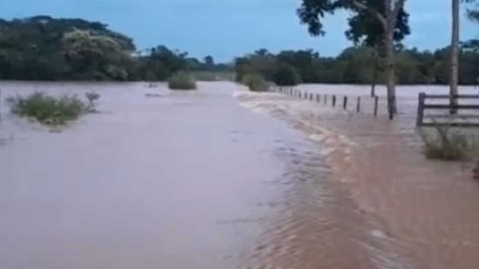 Notícia Relacionada