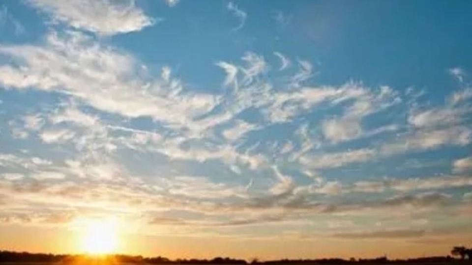 Notícia Relacionada