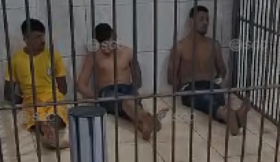 Imagem Editoria