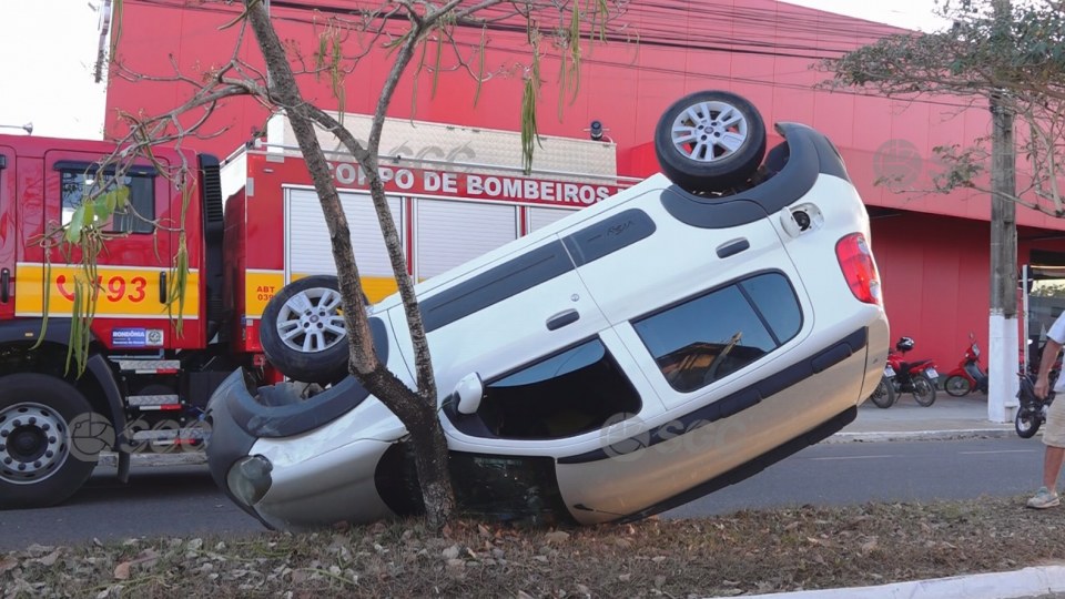 Imagem da Galeria