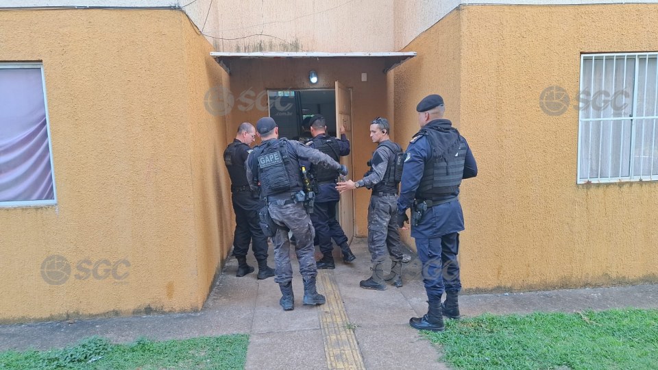 Imagem da Galeria