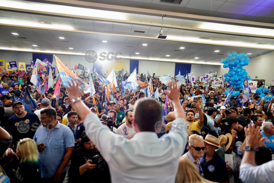 Imagem da Galeria
