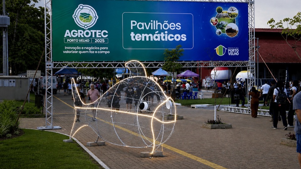 Notícia Relacionada