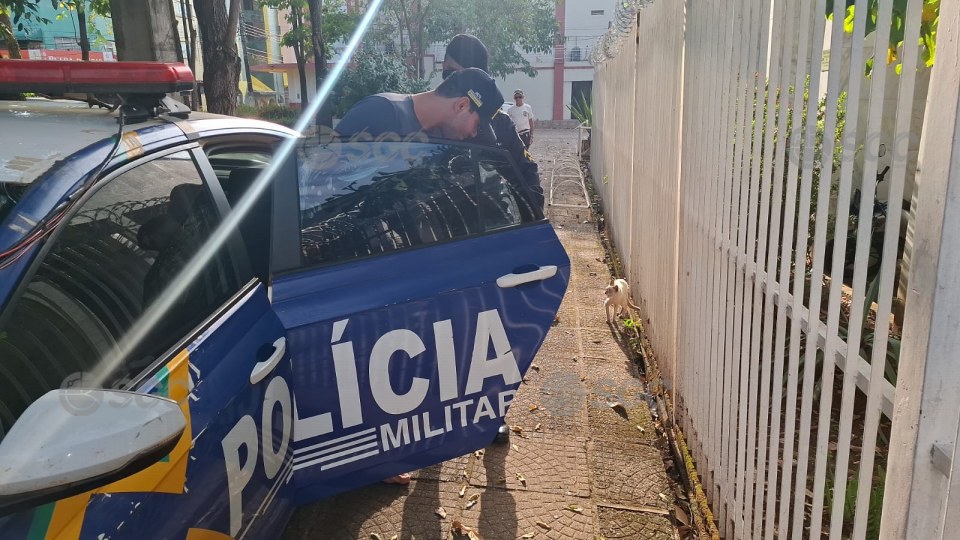 Notícia Relacionada