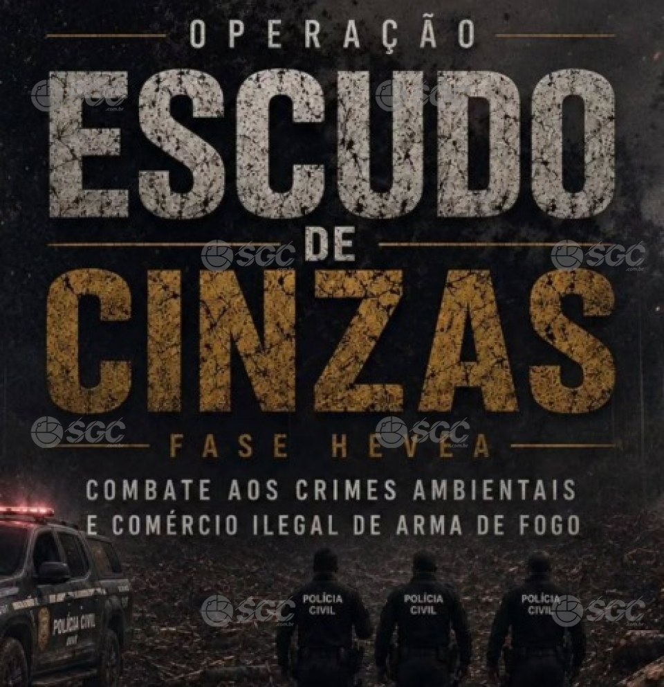 Notícia Relacionada