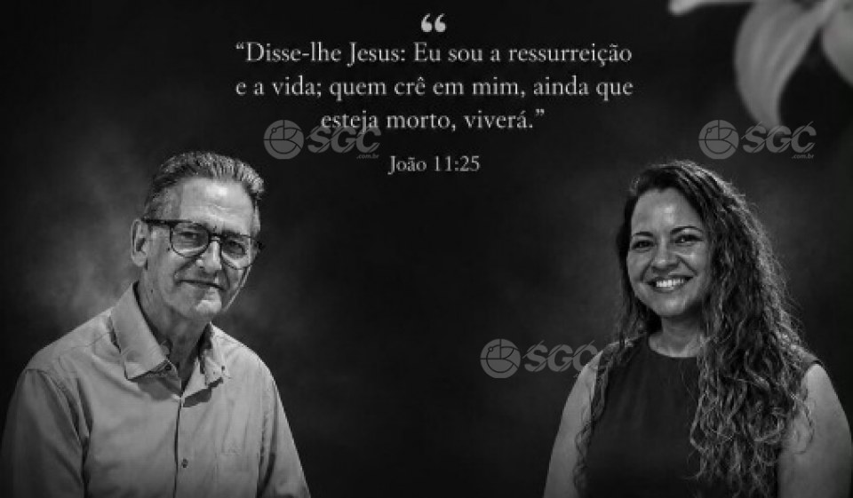Notícia Relacionada