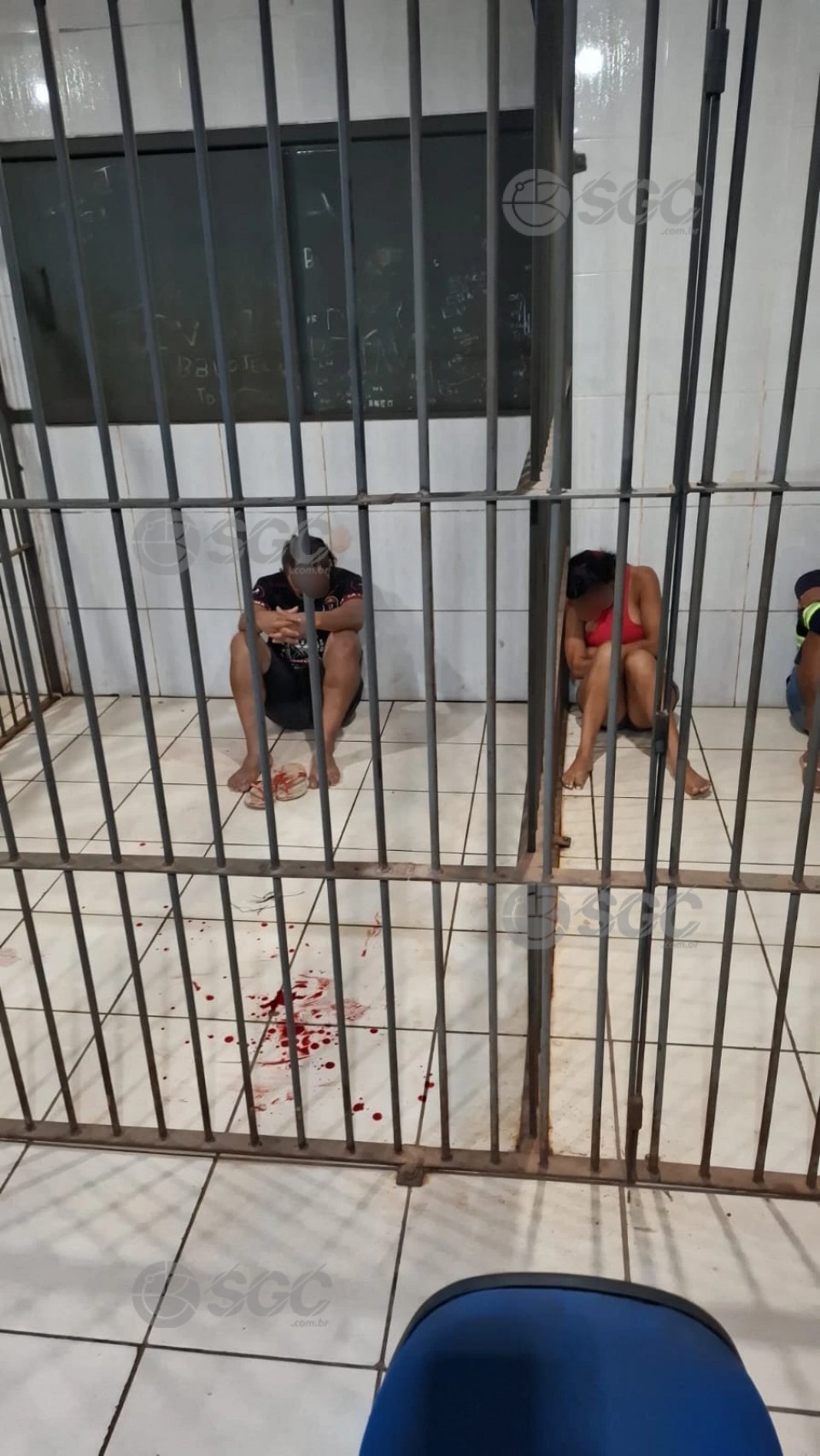 Imagem da Galeria