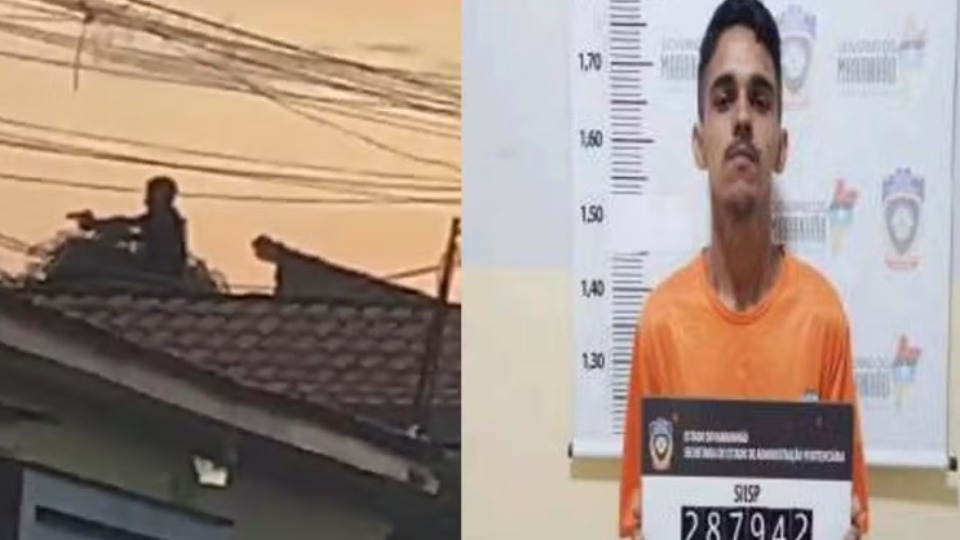Notícia Relacionada