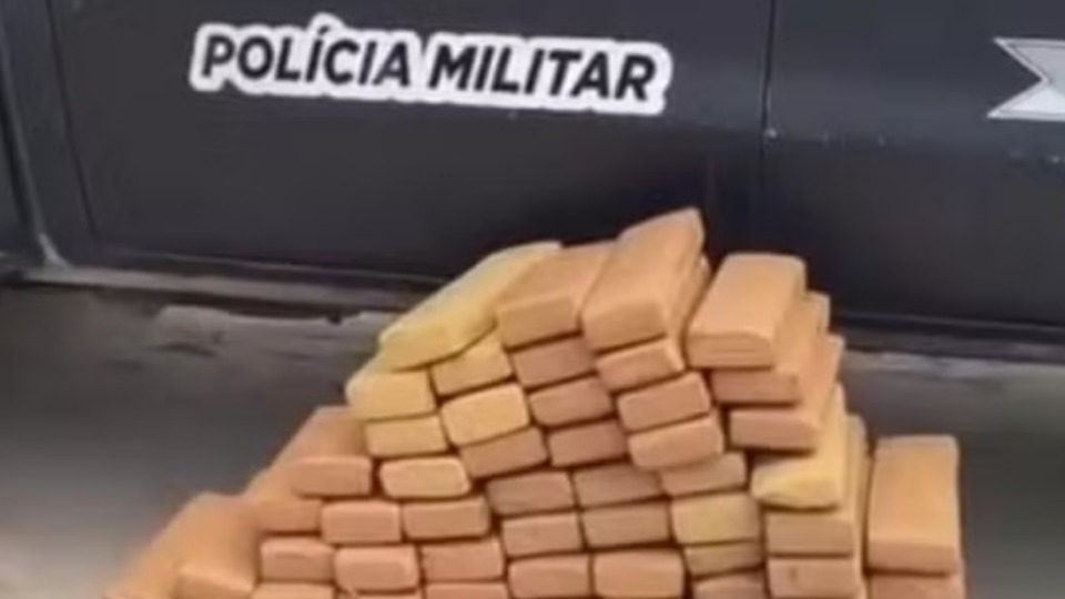 Notícia Relacionada