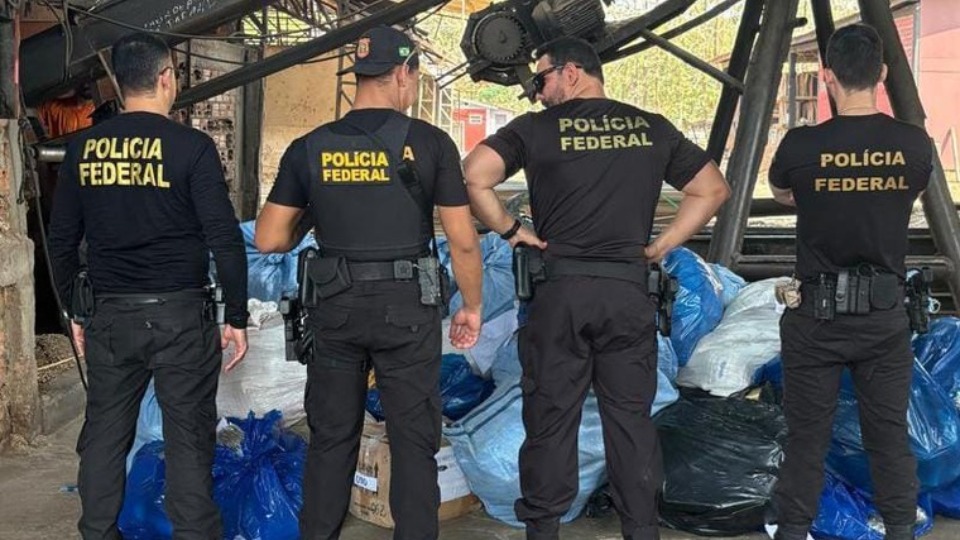 Notícia Relacionada