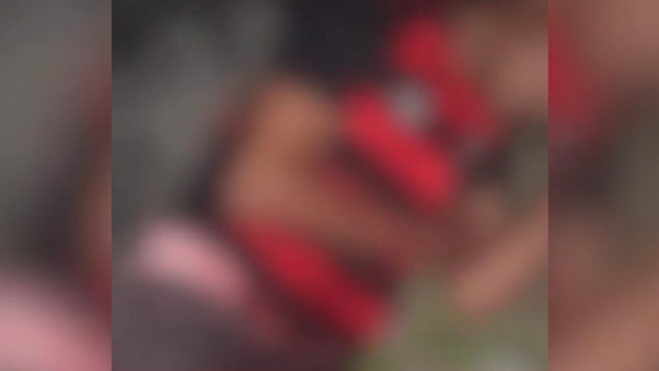 Imagem Editoria
