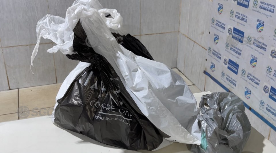Imagem da Galeria