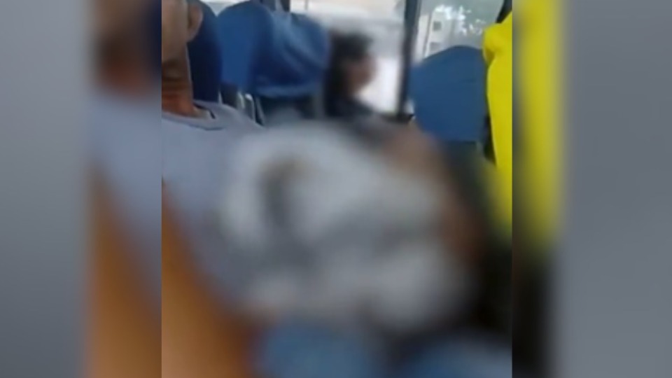 Notícia Relacionada