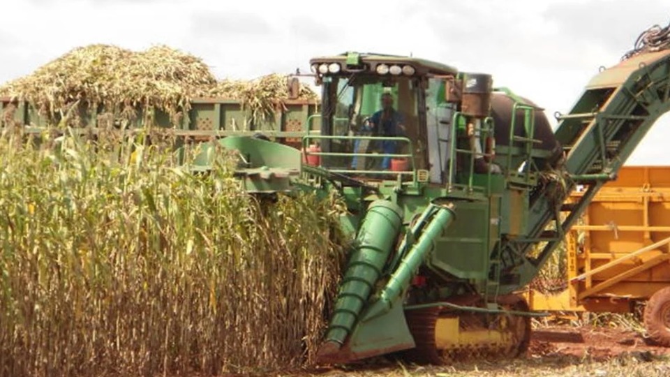 Imagem Editoria