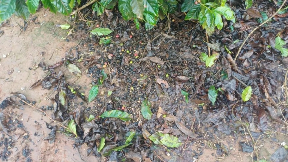 Imagem Editoria