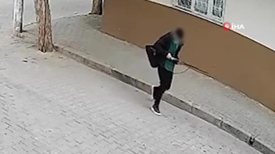 Notícia Relacionada