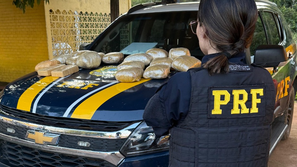 Notícia Relacionada