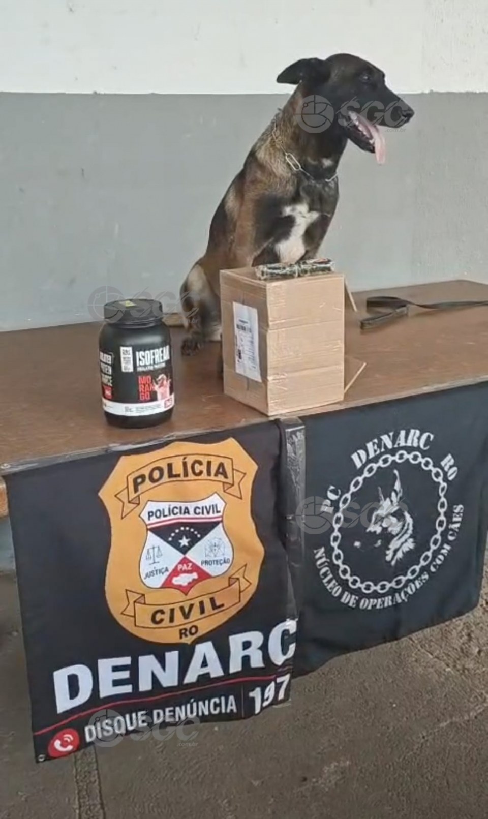 Notícia Relacionada